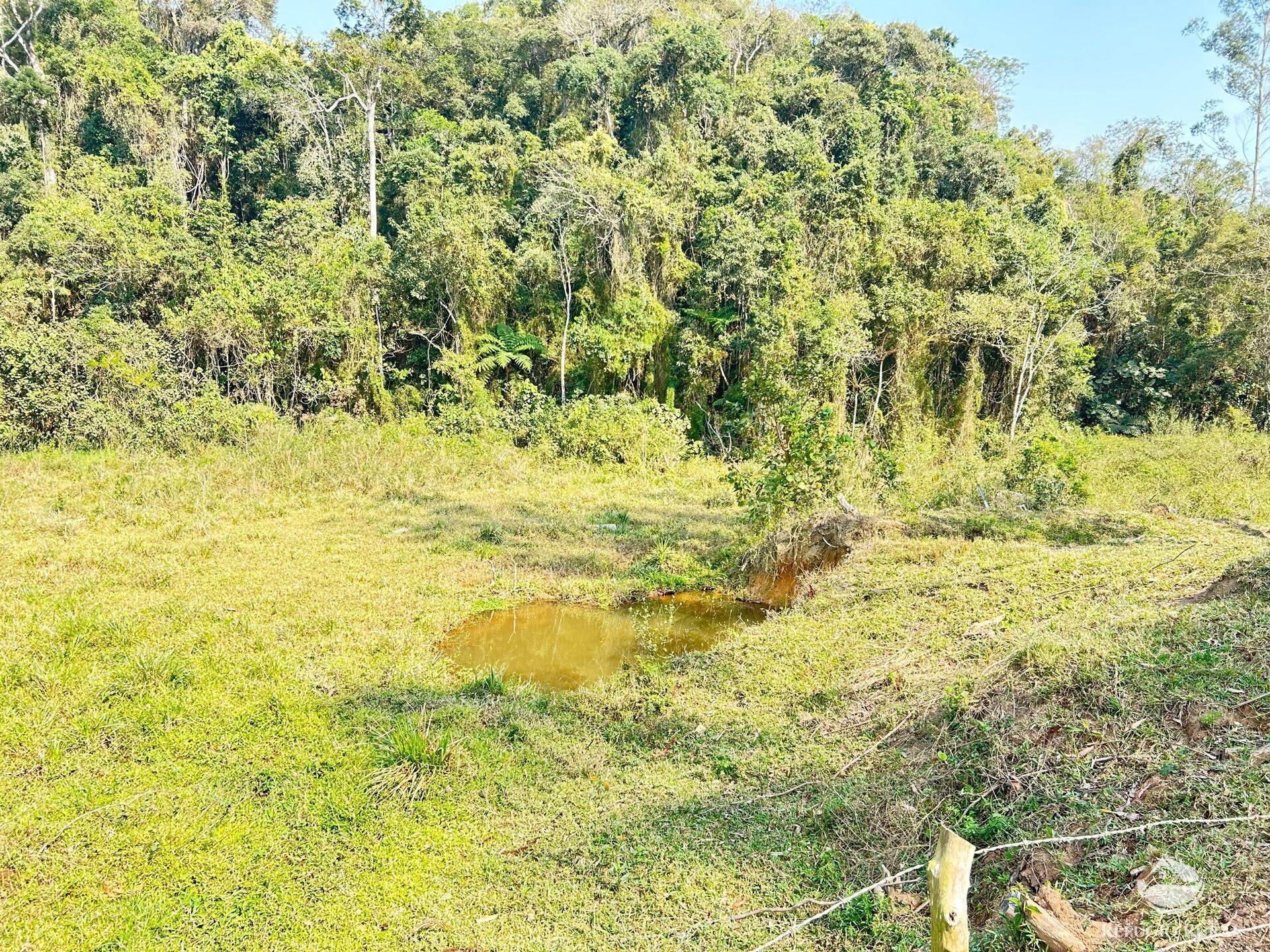 Fazenda à venda com 2 quartos, 96800m² - Foto 18