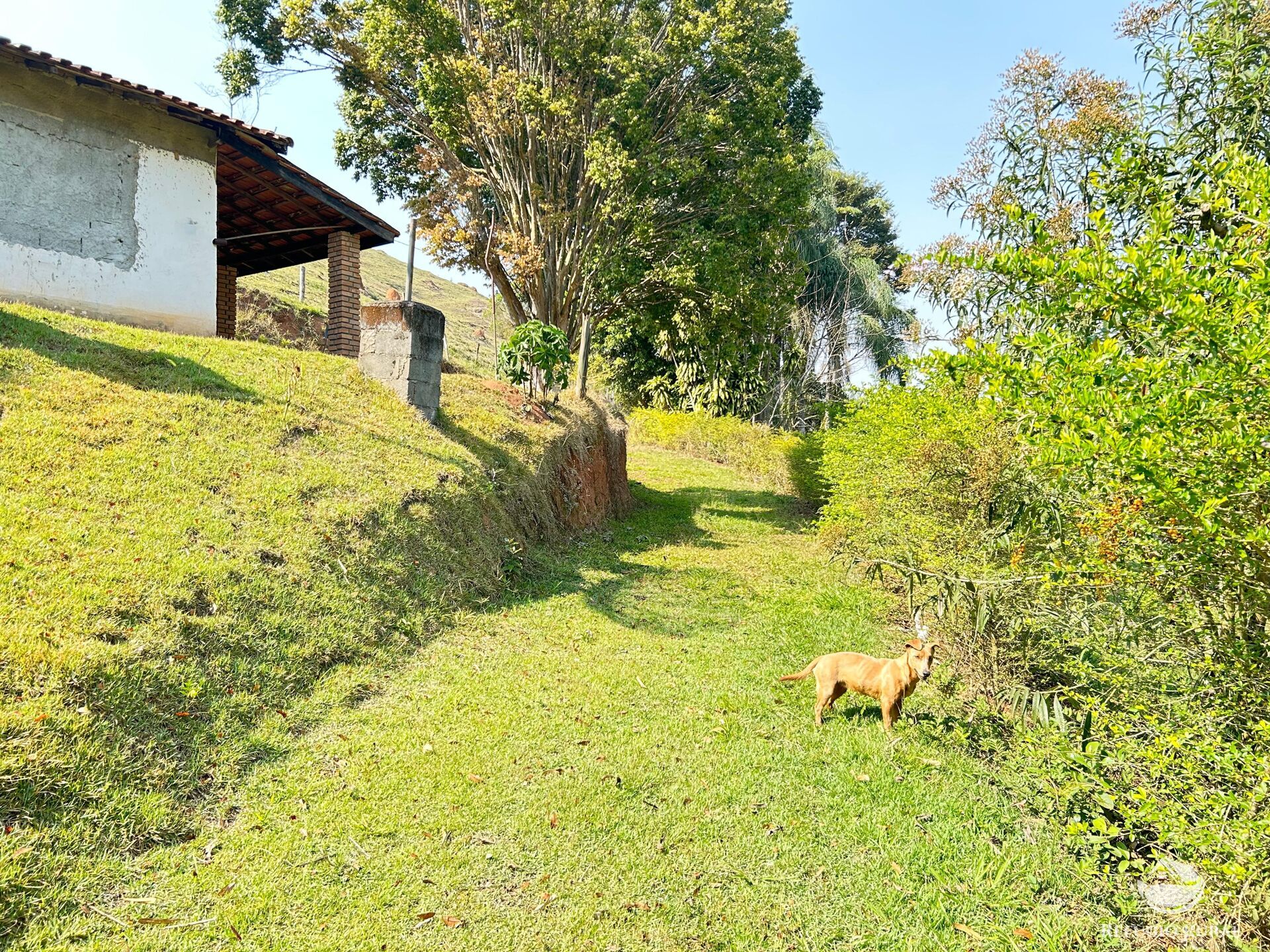 Fazenda à venda com 2 quartos, 96800m² - Foto 9