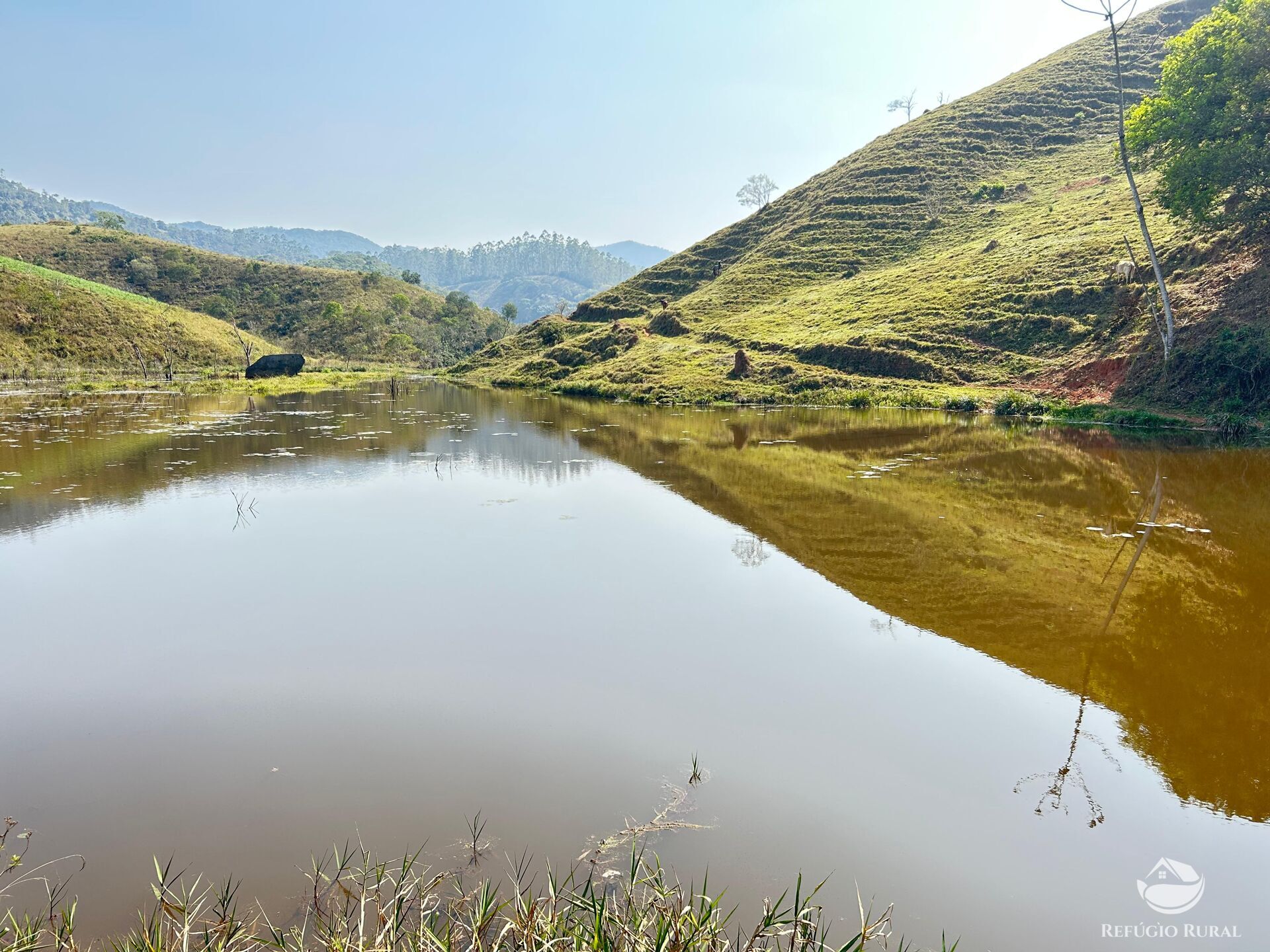 Fazenda à venda com 2 quartos, 96800m² - Foto 3