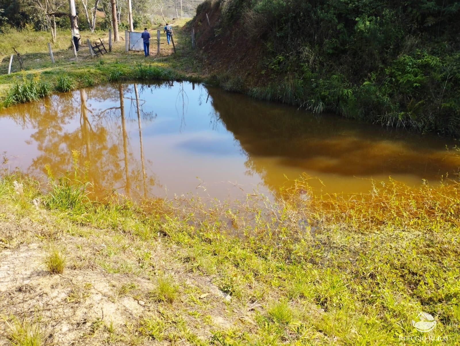 Fazenda à venda com 2 quartos, 96800m² - Foto 30