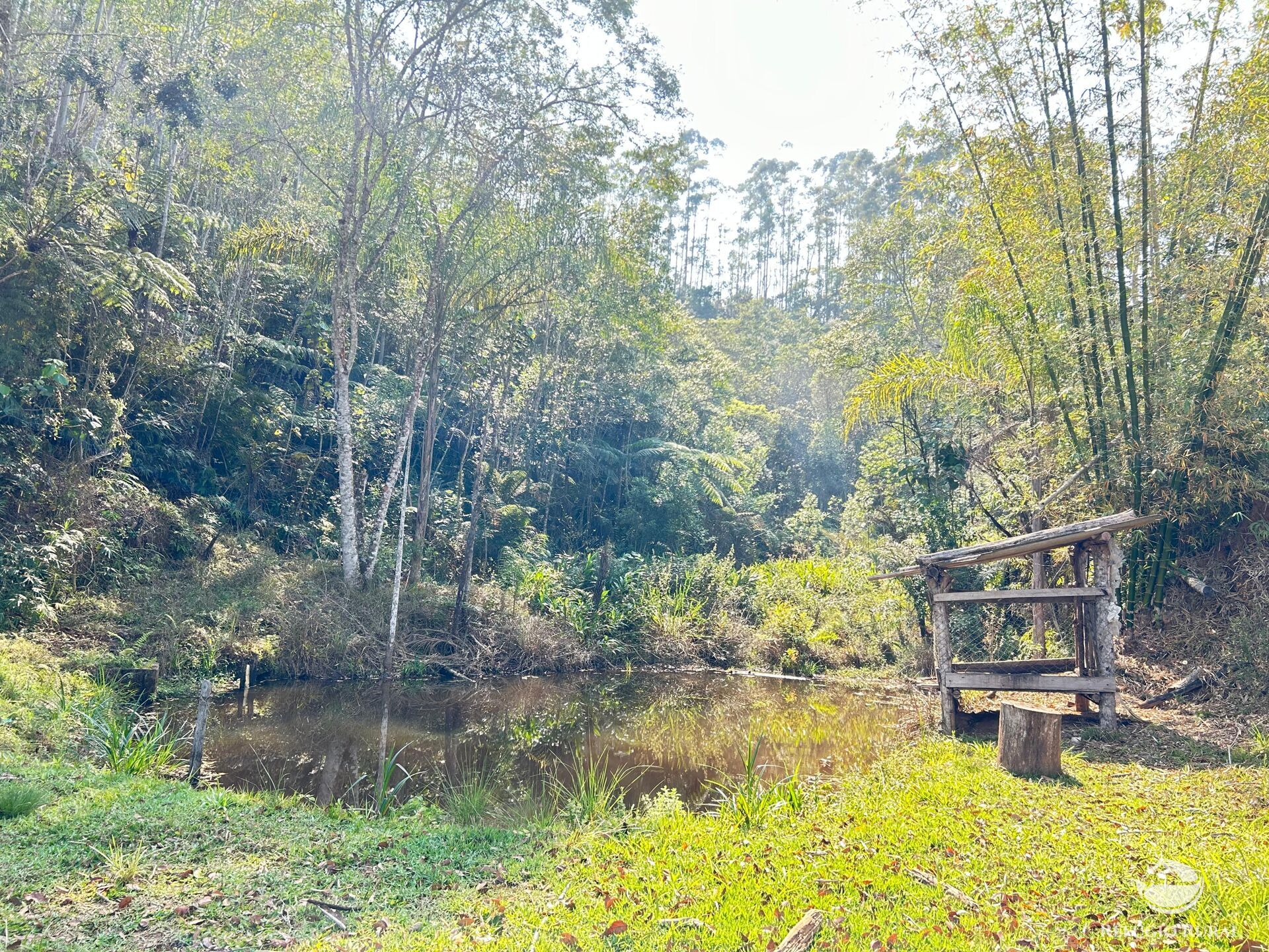 Fazenda à venda com 2 quartos, 96800m² - Foto 12