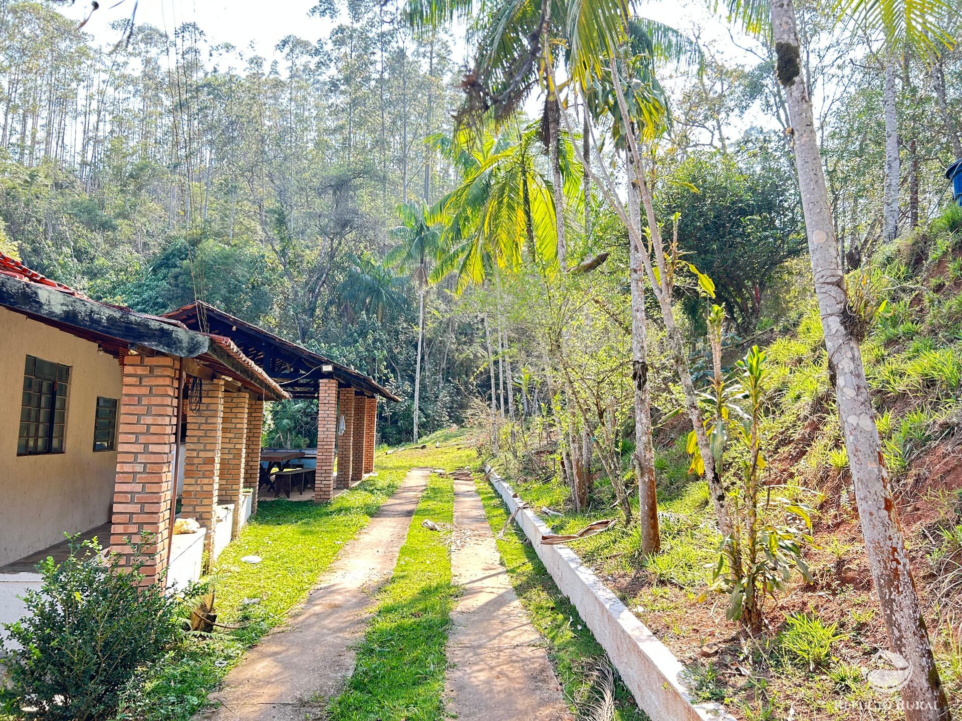 Fazenda à venda com 2 quartos, 96800m² - Foto 7