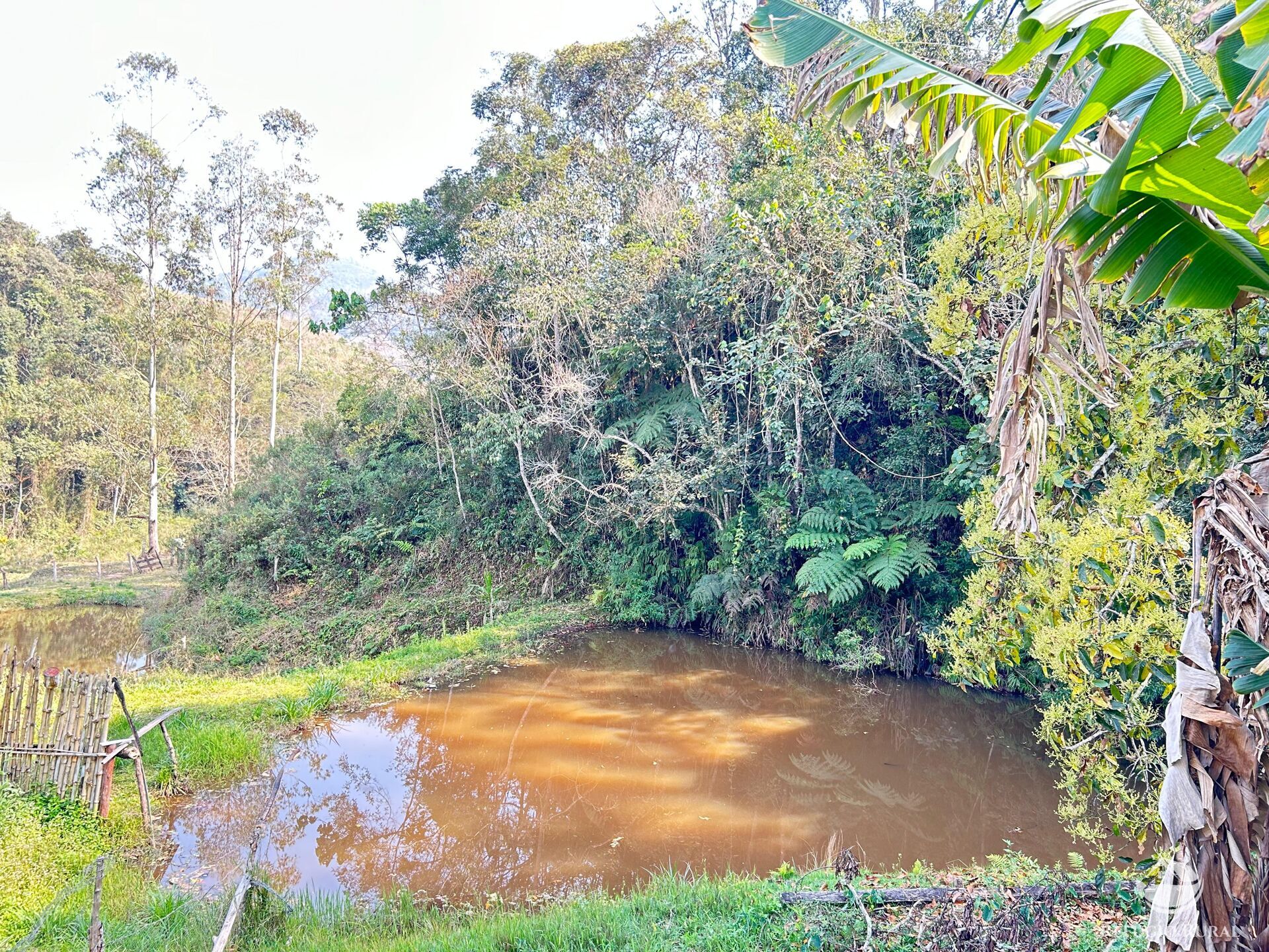 Fazenda à venda com 2 quartos, 96800m² - Foto 13