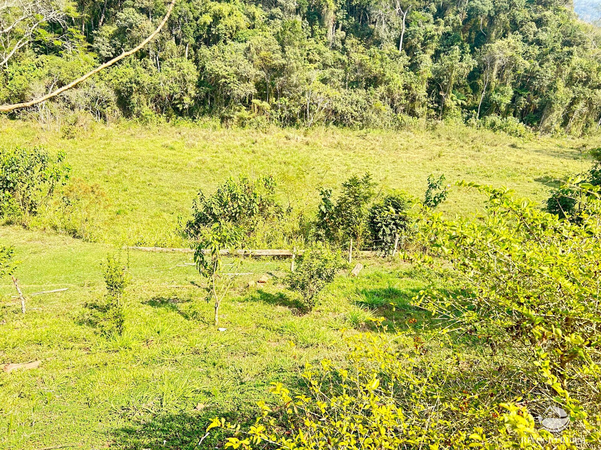 Fazenda à venda com 2 quartos, 96800m² - Foto 10