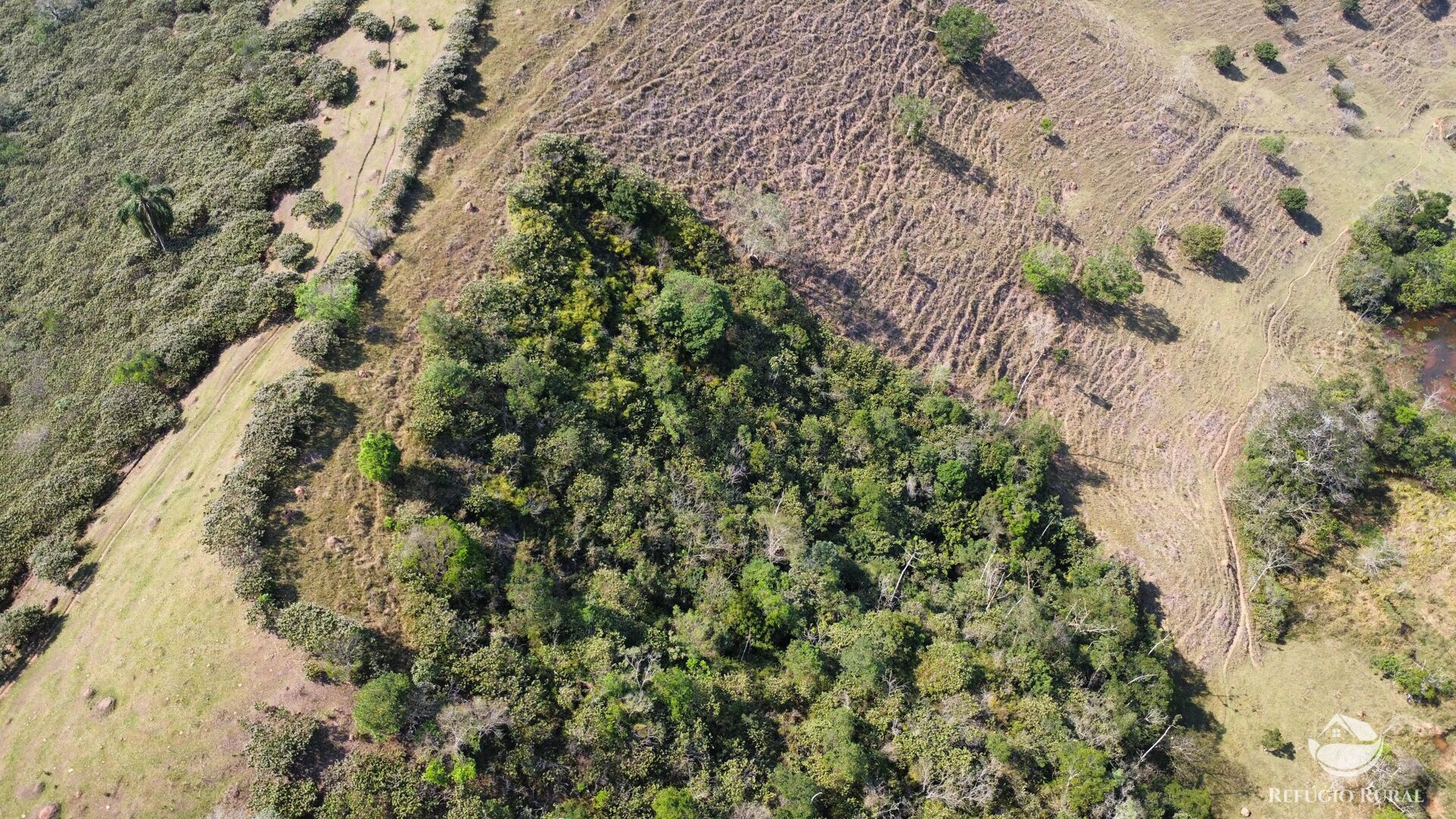 Fazenda à venda com 2 quartos, 96800m² - Foto 25