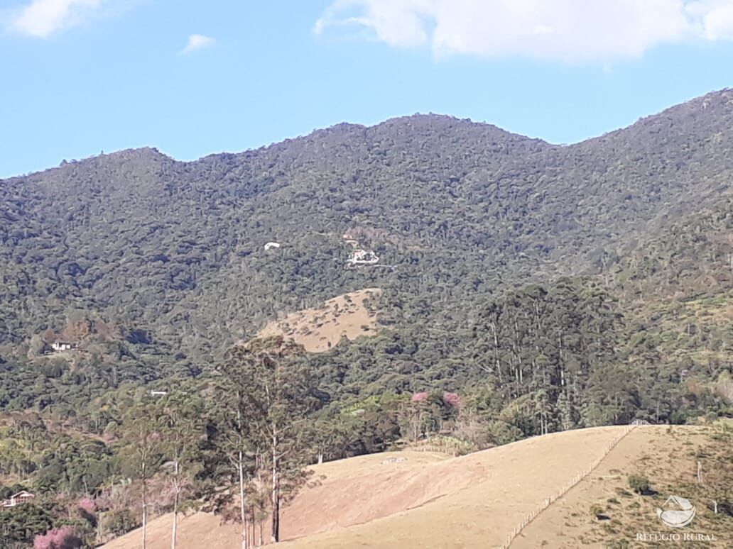 Fazenda à venda com 2 quartos, 20000m² - Foto 30