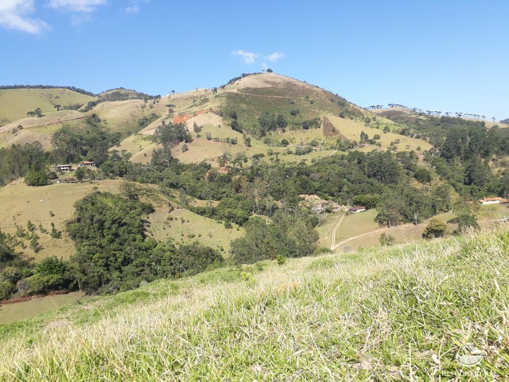 Fazenda à venda com 2 quartos, 20000m² - Foto 7