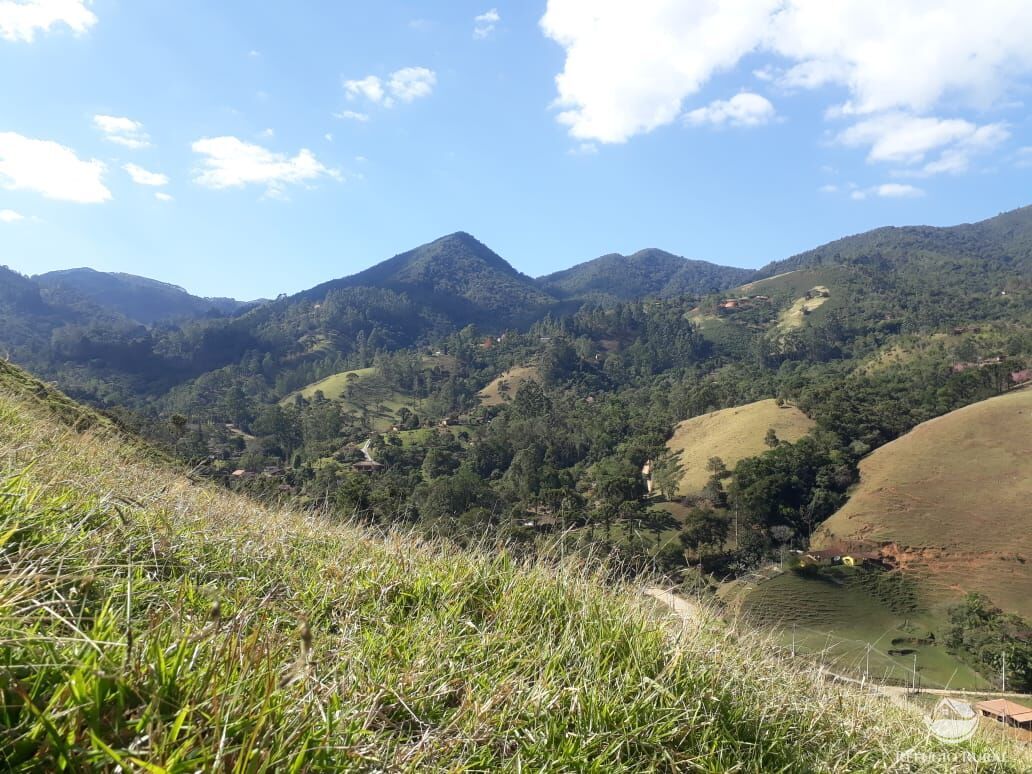 Fazenda à venda com 2 quartos, 20000m² - Foto 6