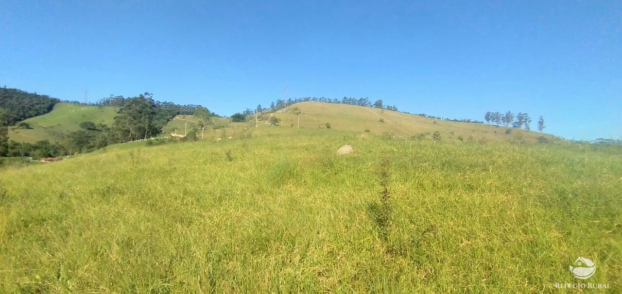 Fazenda à venda com 1 quarto, 121000m² - Foto 9