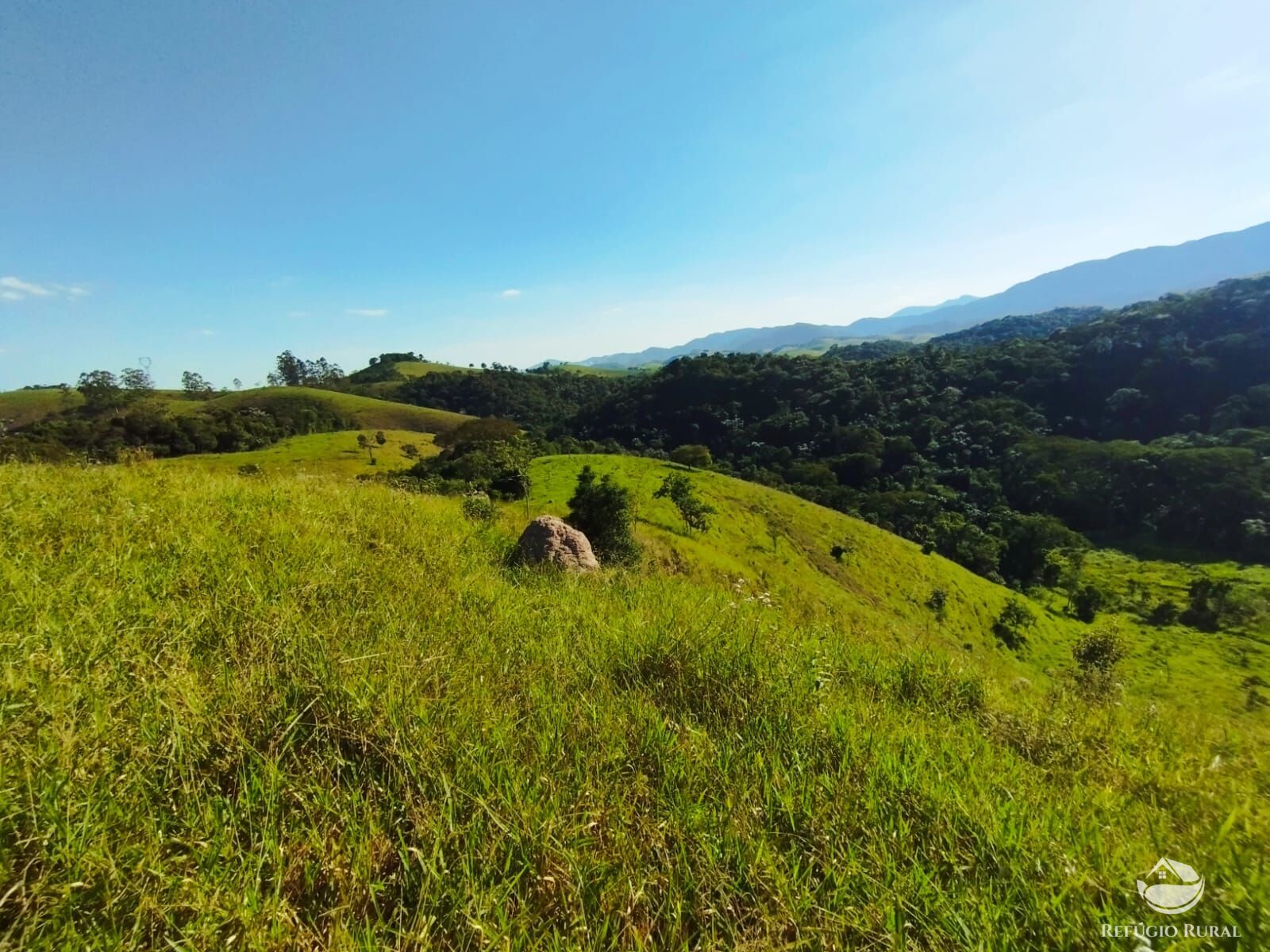 Fazenda à venda com 1 quarto, 121000m² - Foto 5