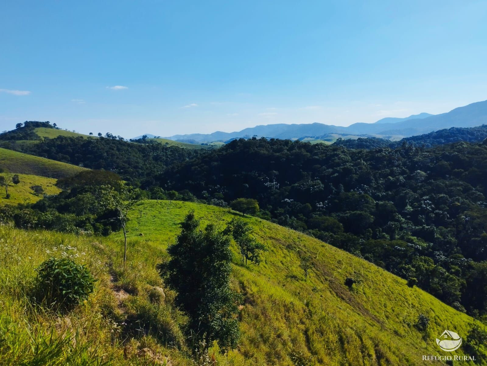 Fazenda à venda com 1 quarto, 121000m² - Foto 11