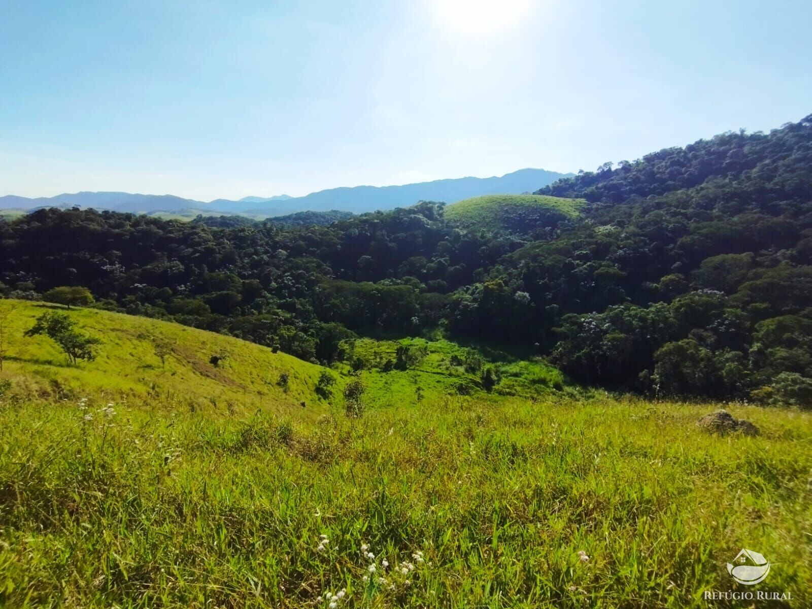 Fazenda à venda com 1 quarto, 121000m² - Foto 8