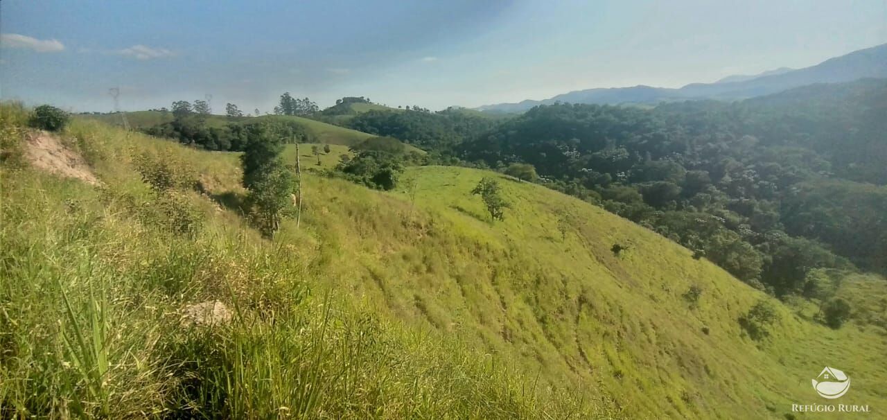 Fazenda à venda com 1 quarto, 121000m² - Foto 12