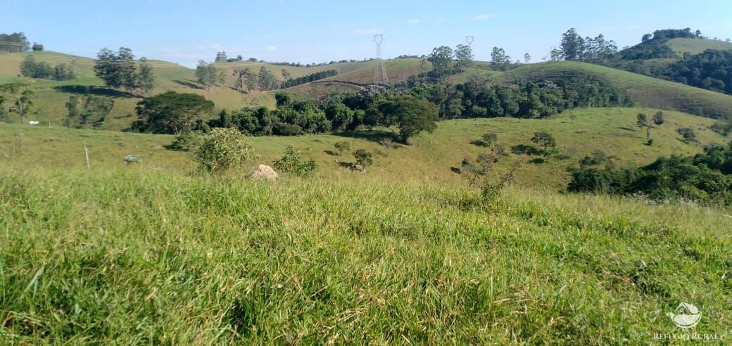 Fazenda à venda com 1 quarto, 121000m² - Foto 13