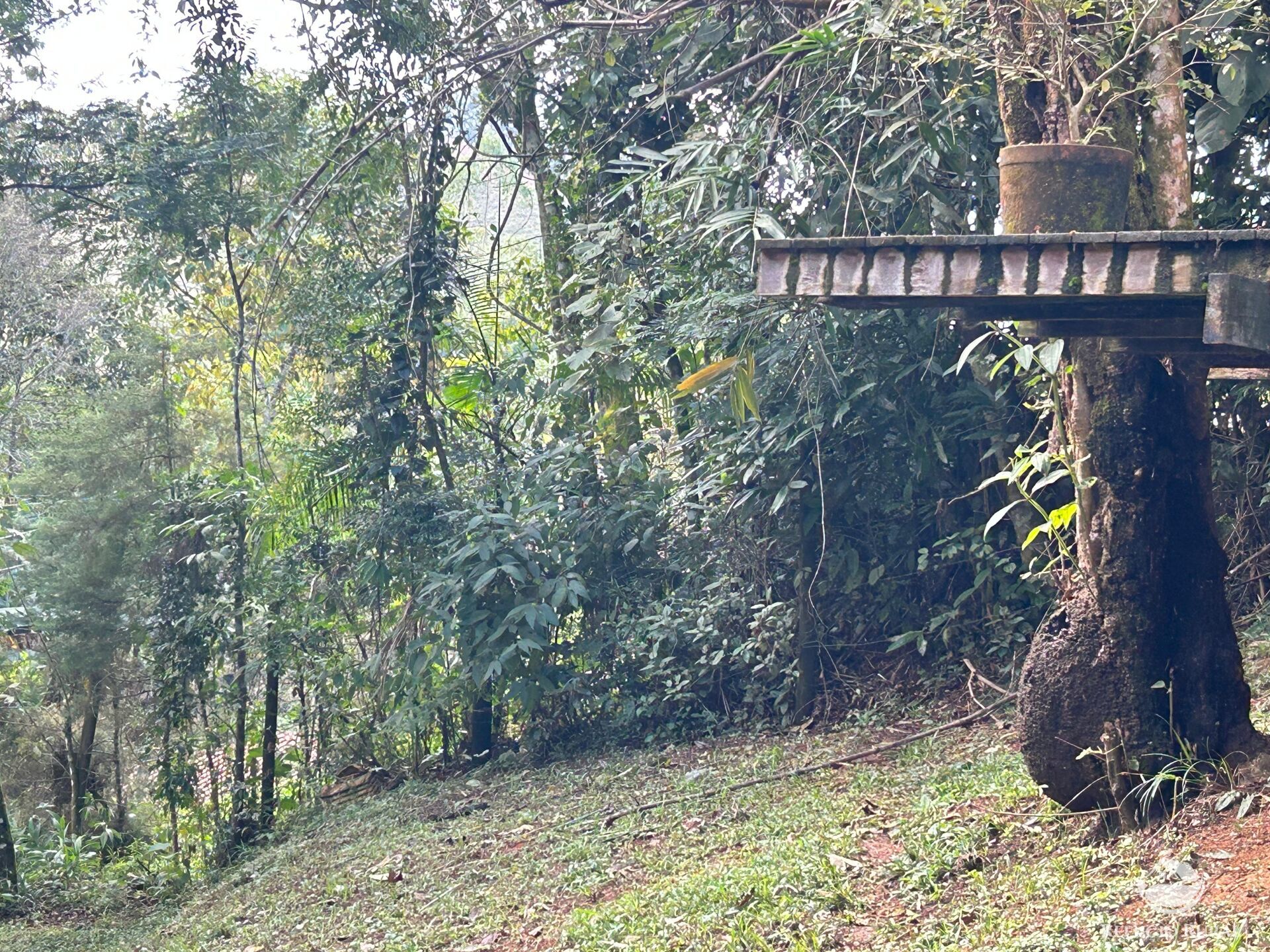 Chácara, 1 quarto, 1000 m² - Foto 25