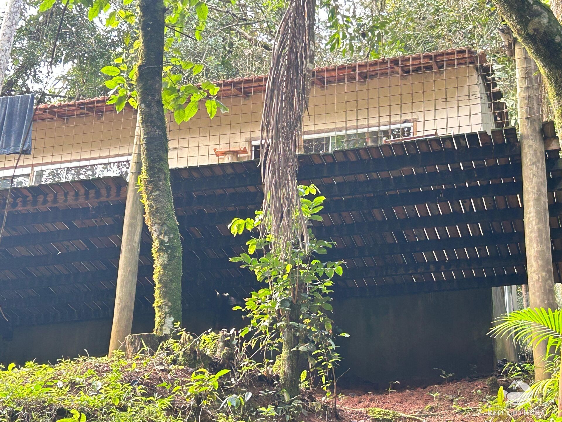 Chácara, 1 quarto, 1000 m² - Foto 13