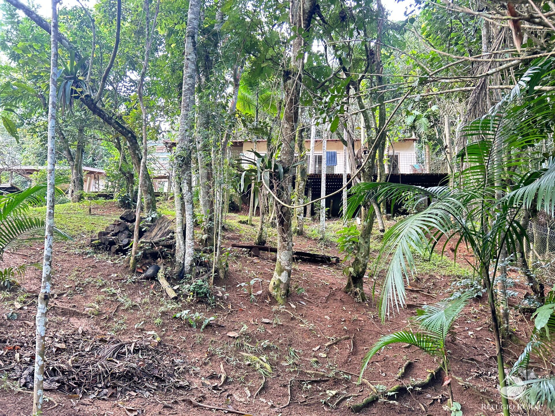 Chácara, 1 quarto, 1000 m² - Foto 19