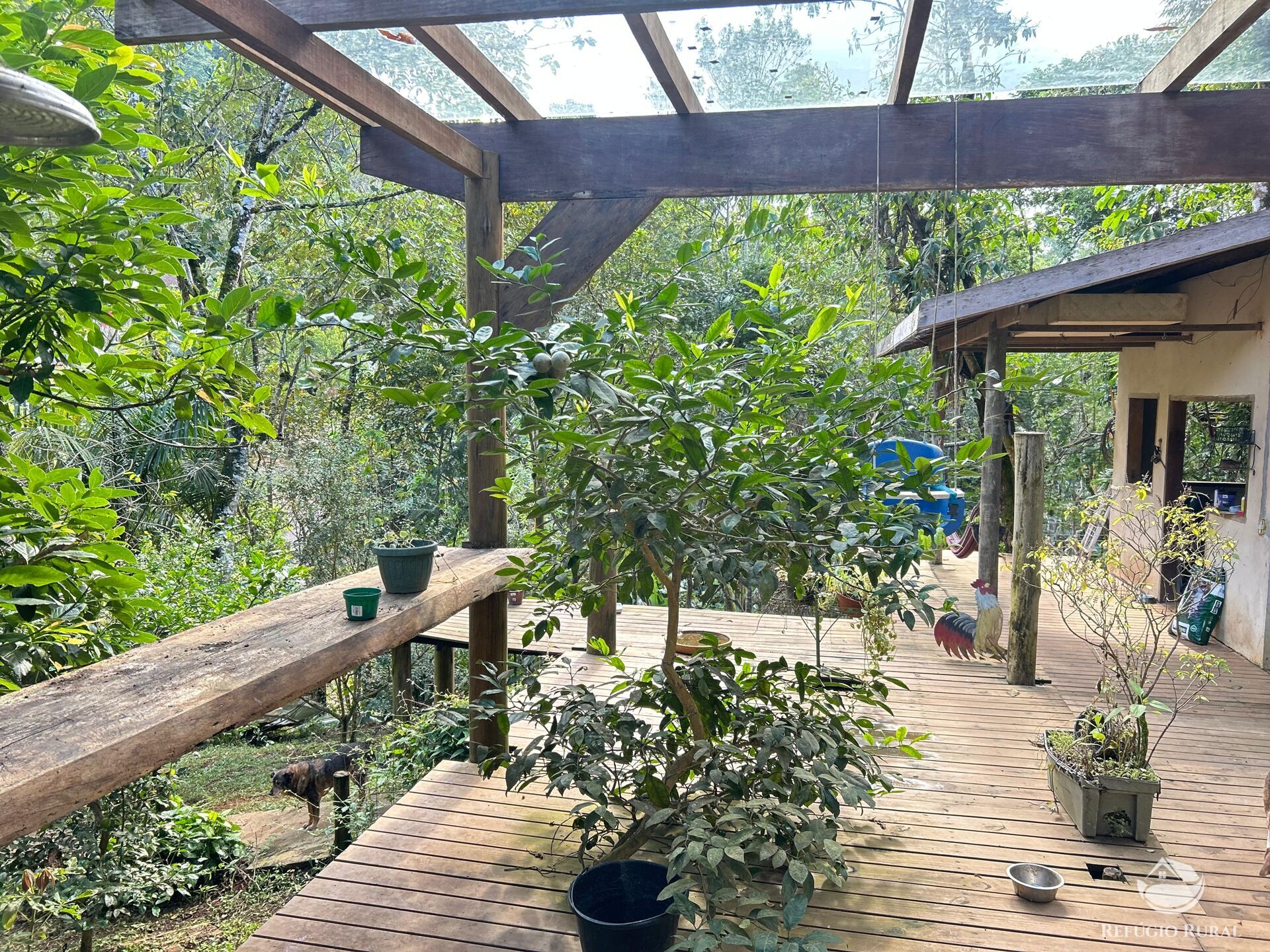 Chácara, 1 quarto, 1000 m² - Foto 14