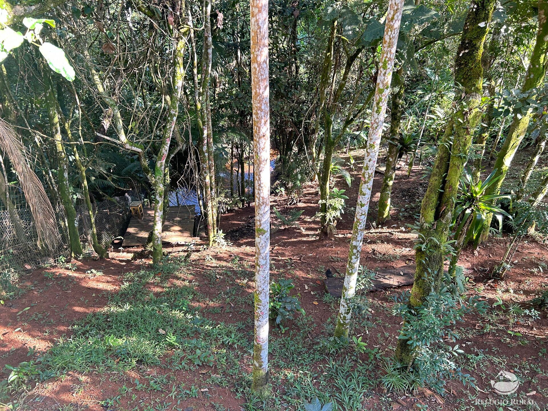 Chácara, 1 quarto, 1000 m² - Foto 11