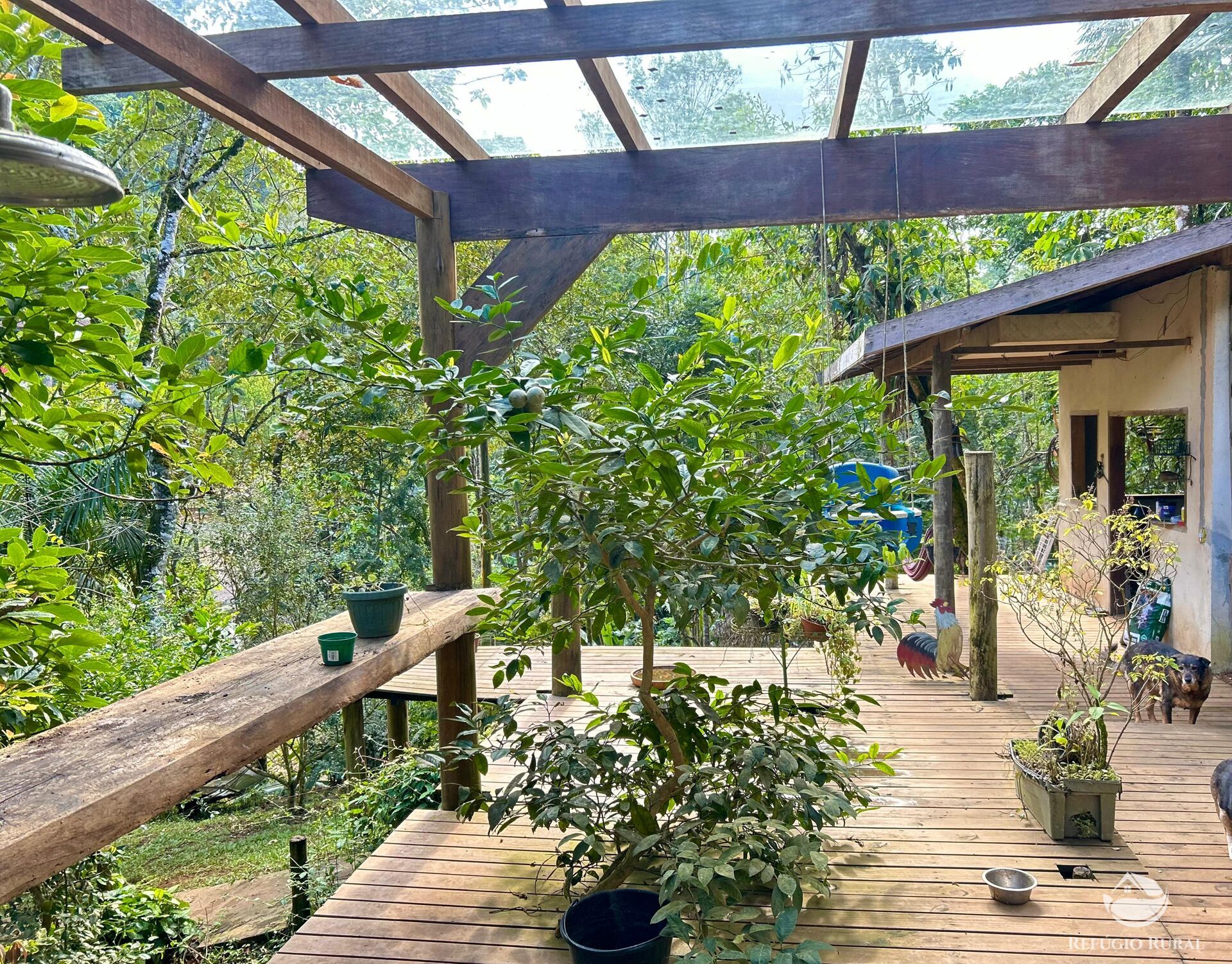 Chácara, 1 quarto, 1000 m² - Foto 1