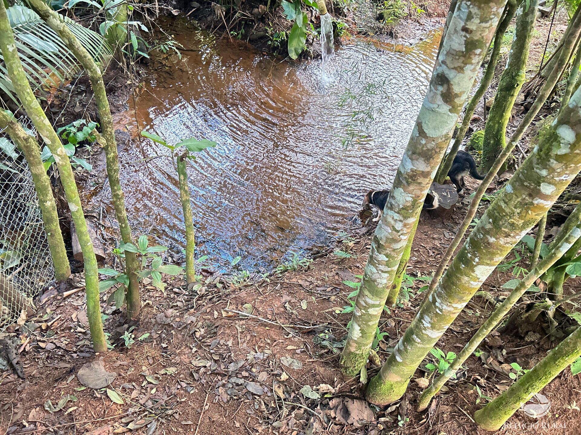 Chácara, 1 quarto, 1000 m² - Foto 18