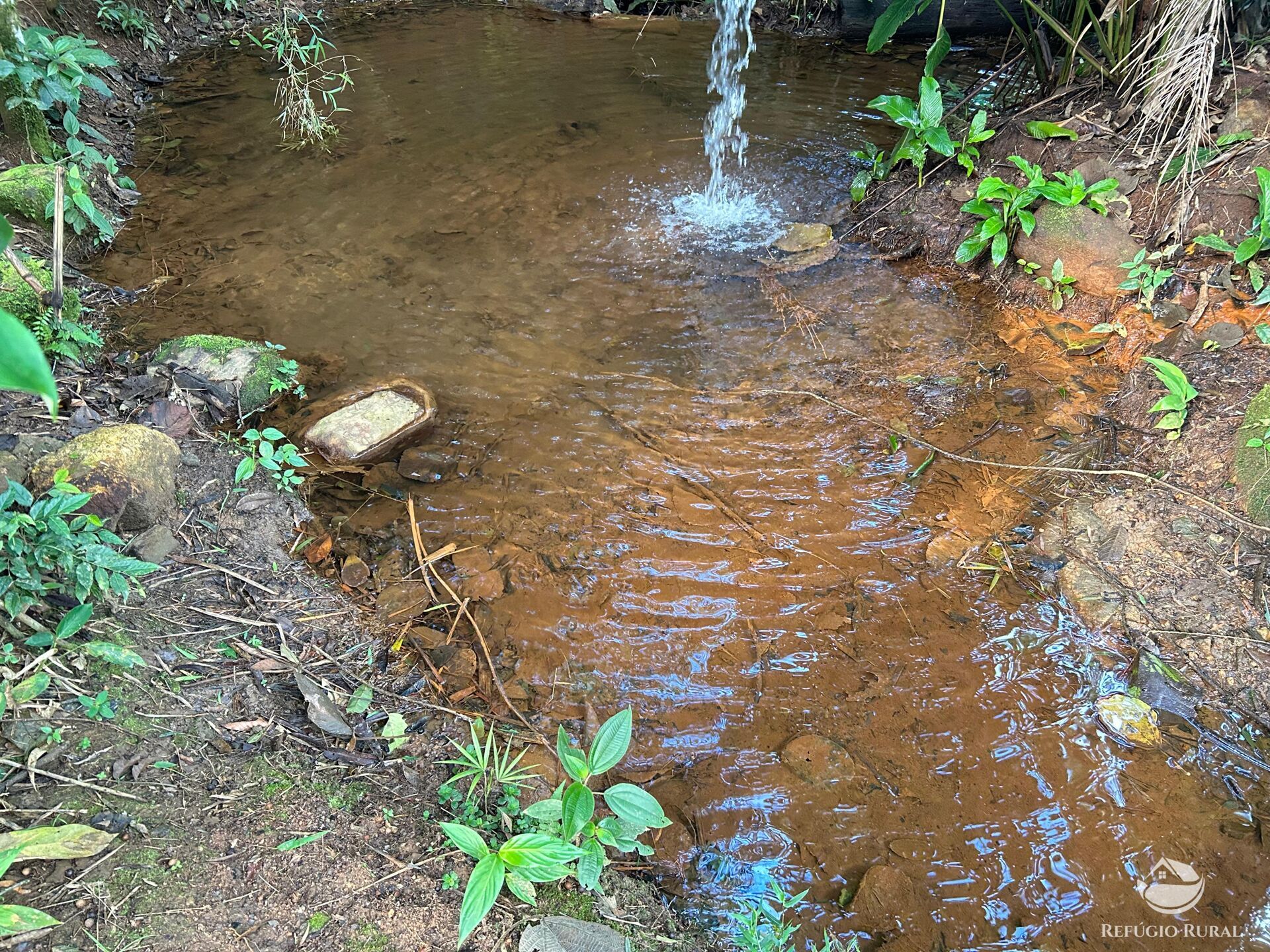 Chácara, 1 quarto, 1000 m² - Foto 8