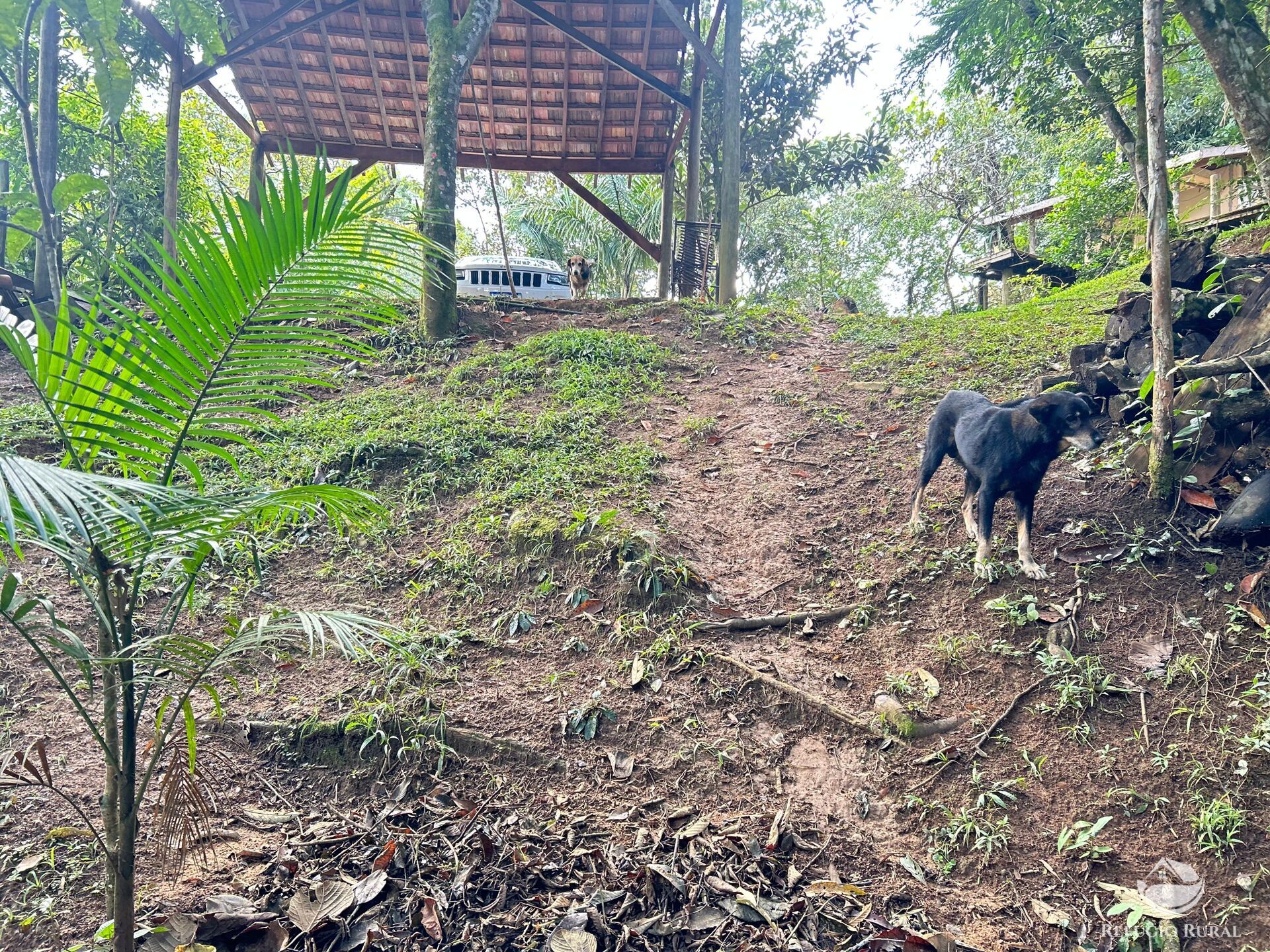 Chácara, 1 quarto, 1000 m² - Foto 20