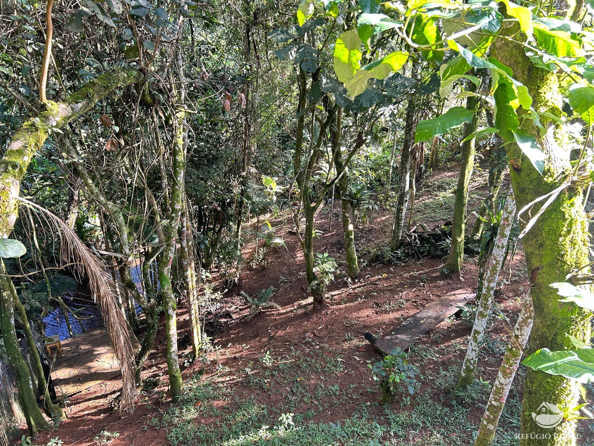 Chácara, 1 quarto, 1000 m² - Foto 12