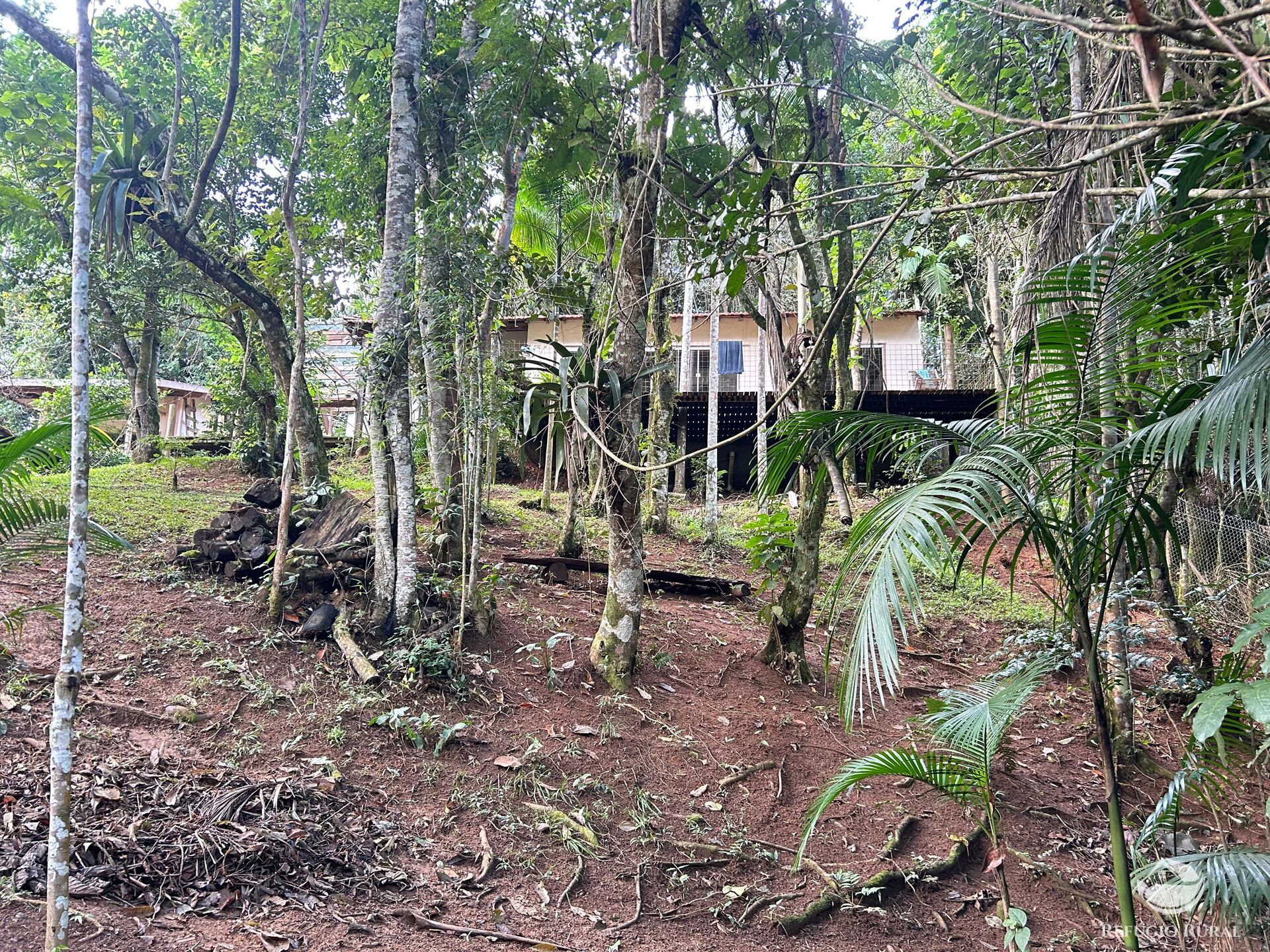 Chácara, 1 quarto, 1000 m² - Foto 21