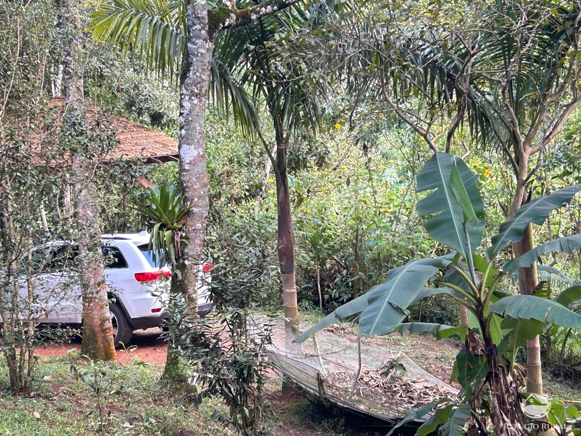 Chácara, 1 quarto, 1000 m² - Foto 26