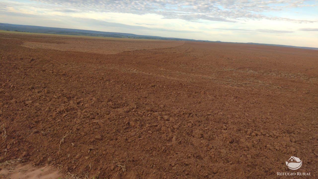 Fazenda à venda com 3 quartos, 22800000m² - Foto 5