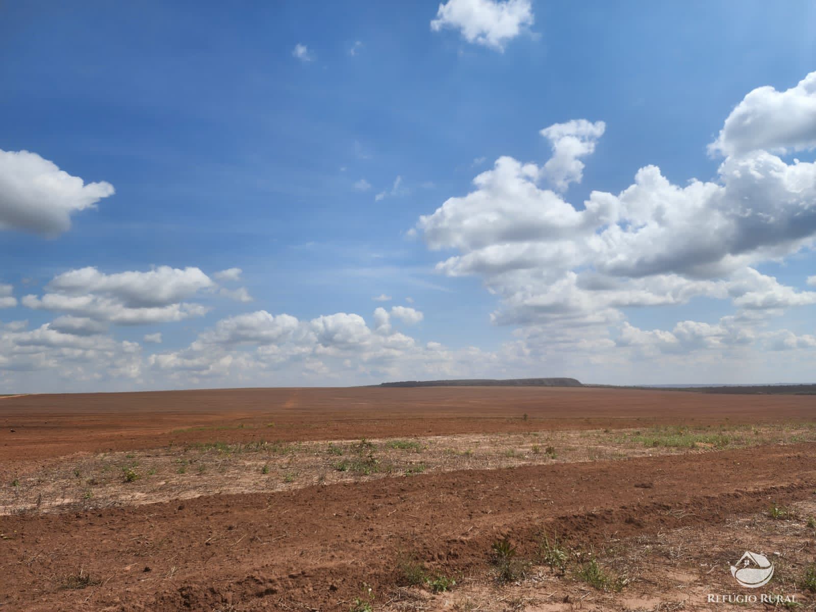 Fazenda à venda com 3 quartos, 22800000m² - Foto 6