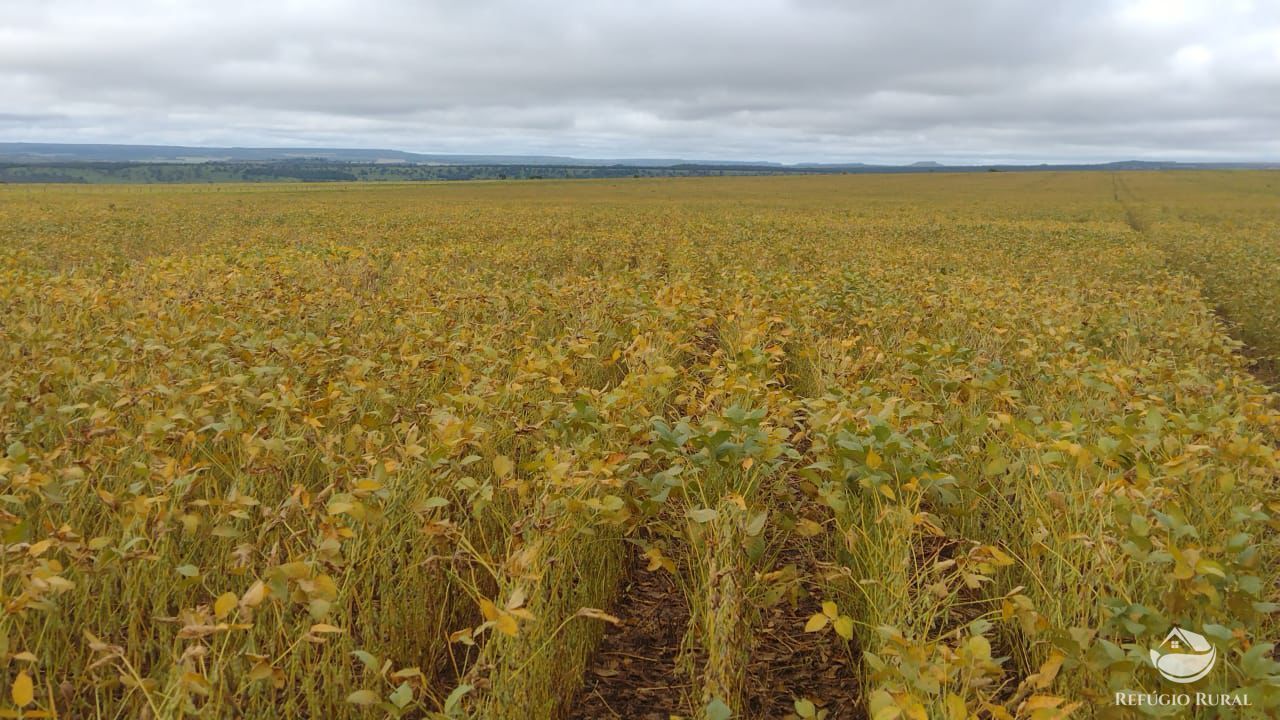 Fazenda à venda com 3 quartos, 22800000m² - Foto 2