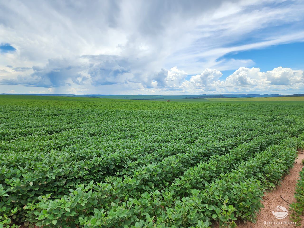 Fazenda à venda com 3 quartos, 22800000m² - Foto 3