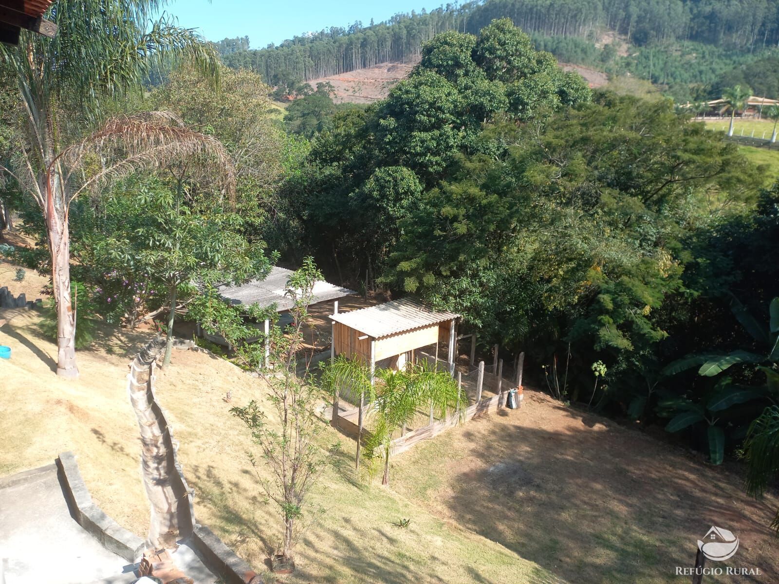 Fazenda à venda com 3 quartos, 6120m² - Foto 3