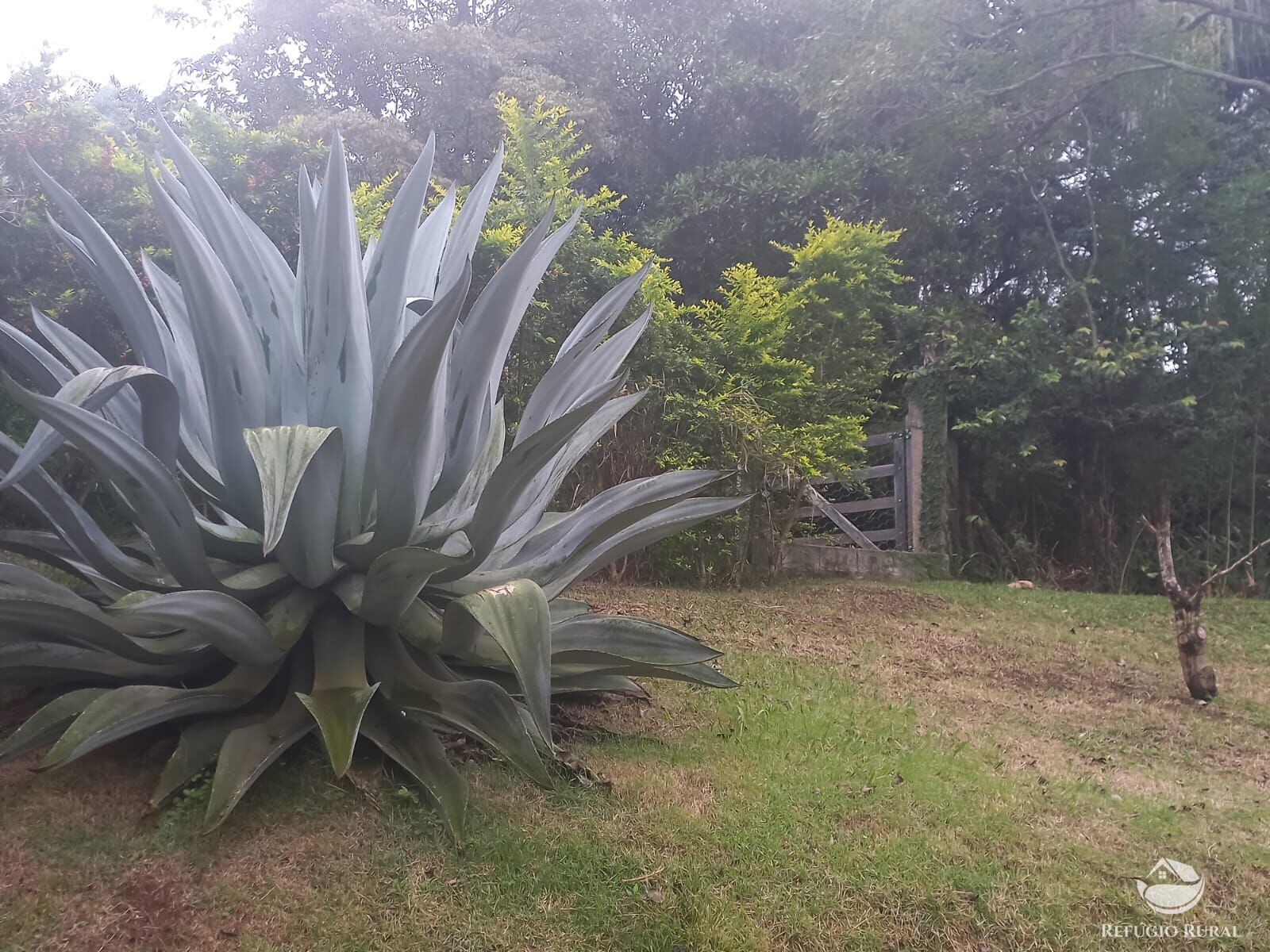 Fazenda à venda com 3 quartos, 6120m² - Foto 30