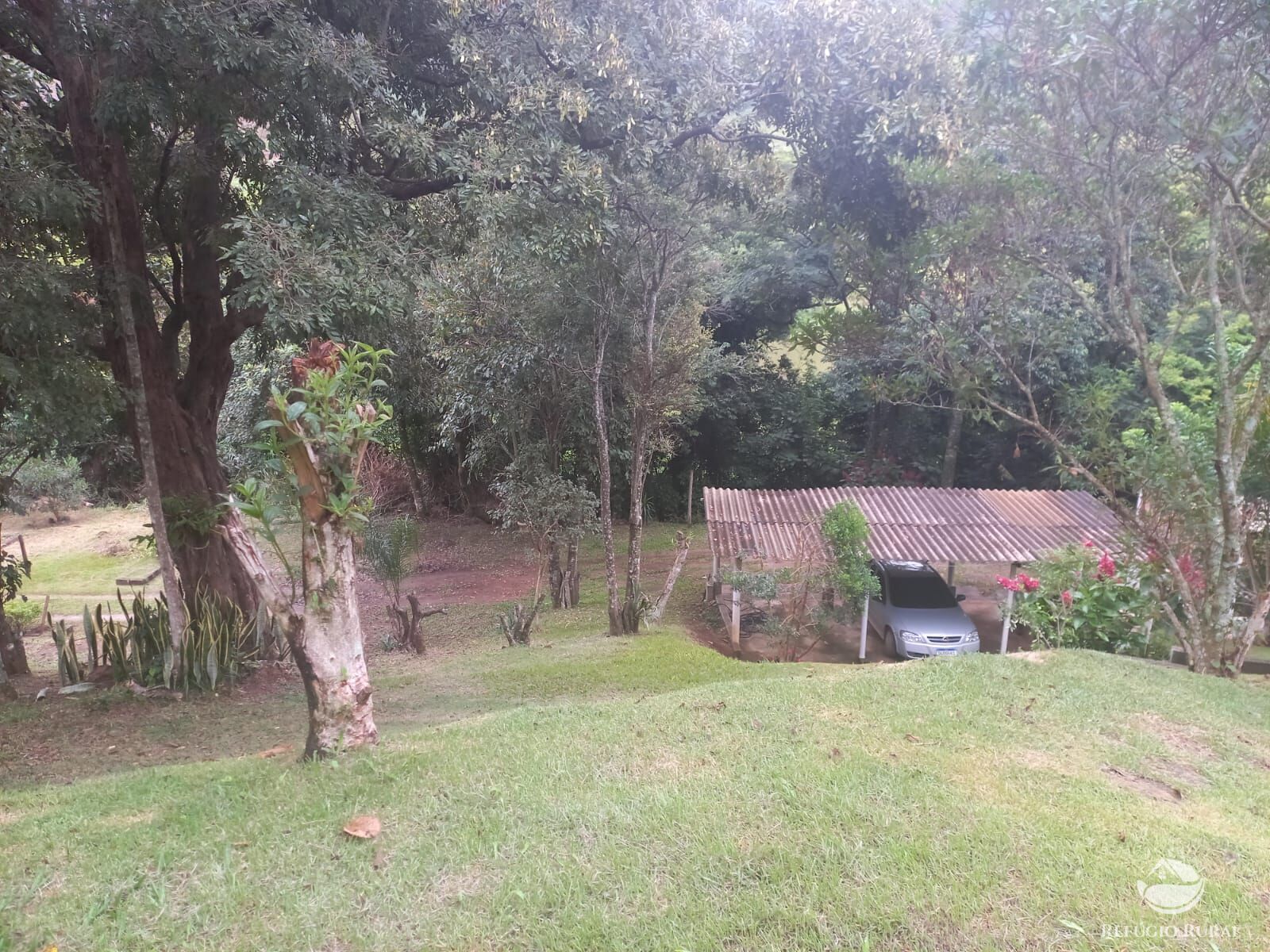 Fazenda à venda com 3 quartos, 6120m² - Foto 13