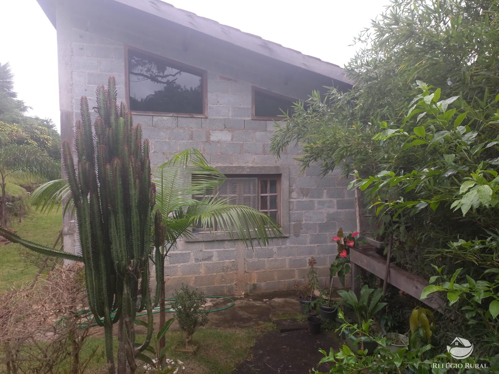 Fazenda à venda com 3 quartos, 6120m² - Foto 33