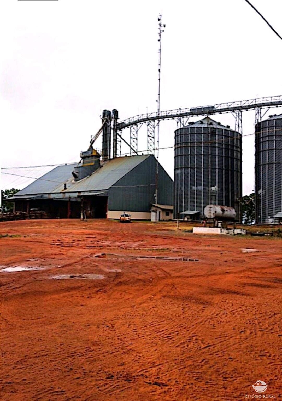 Fazenda à venda com 4 quartos, 100000000m² - Foto 19