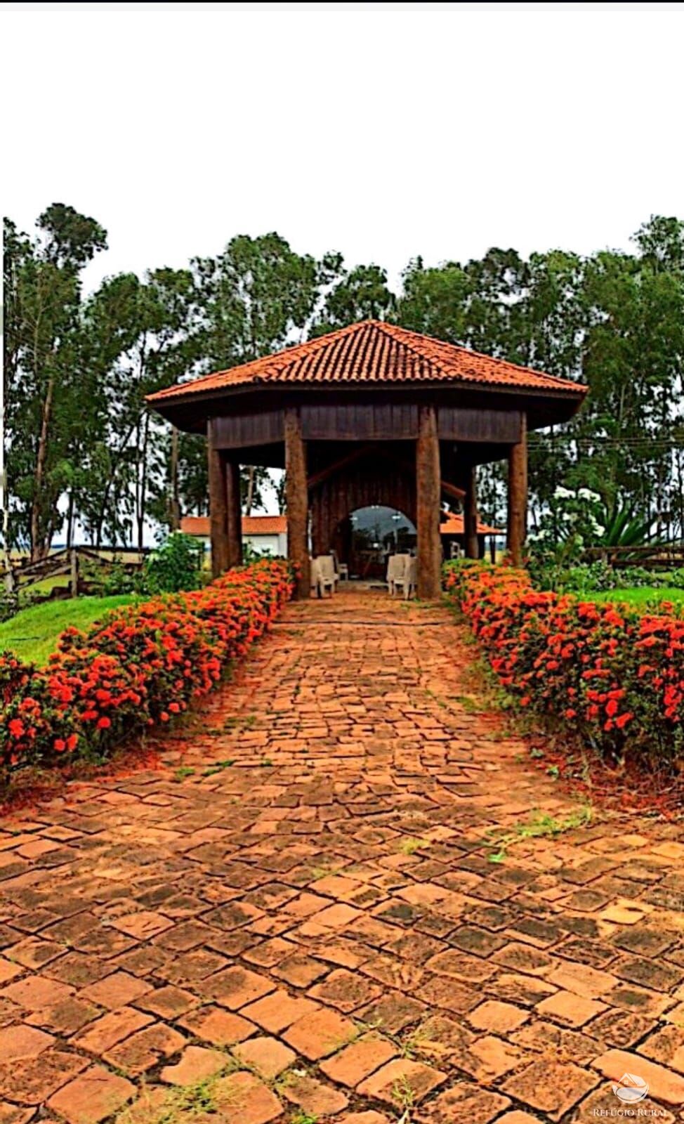 Fazenda à venda com 4 quartos, 100000000m² - Foto 18