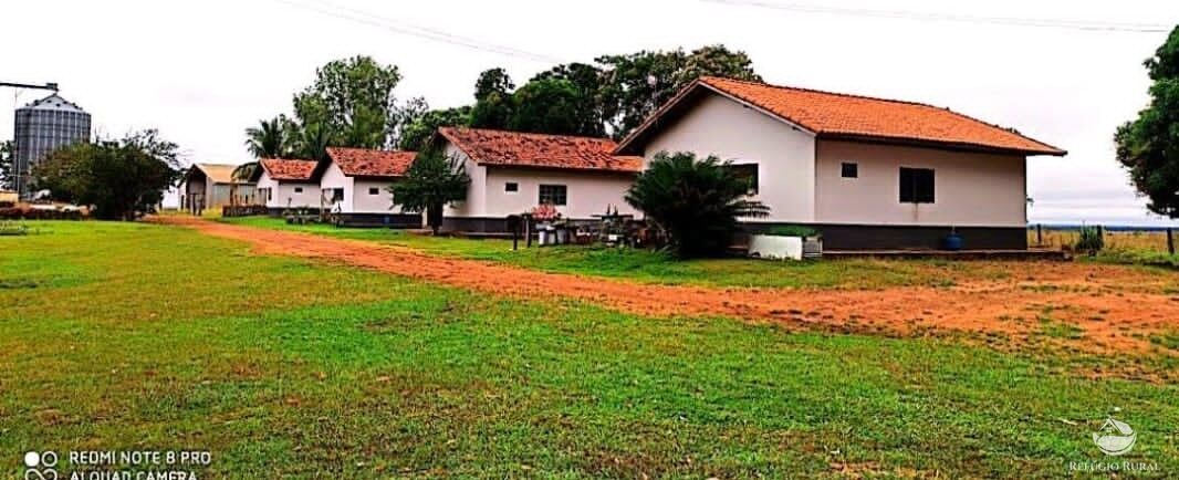 Fazenda à venda com 4 quartos, 100000000m² - Foto 3