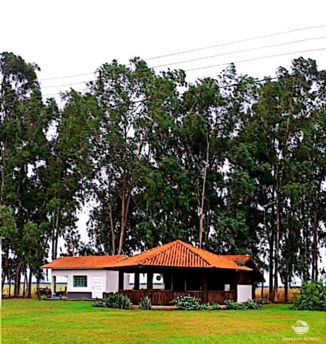 Fazenda à venda com 4 quartos, 100000000m² - Foto 24