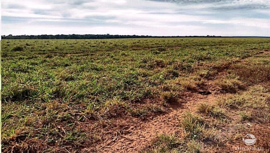 Fazenda à venda com 4 quartos, 100000000m² - Foto 17