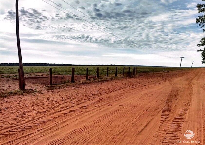 Fazenda à venda com 4 quartos, 100000000m² - Foto 4