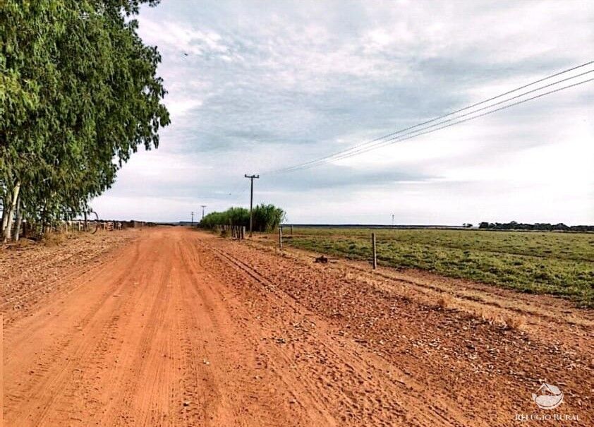 Fazenda à venda com 4 quartos, 100000000m² - Foto 5