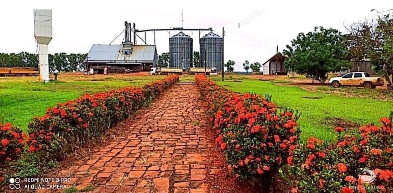 Fazenda à venda com 4 quartos, 100000000m² - Foto 13