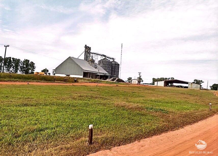 Fazenda à venda com 4 quartos, 100000000m² - Foto 7