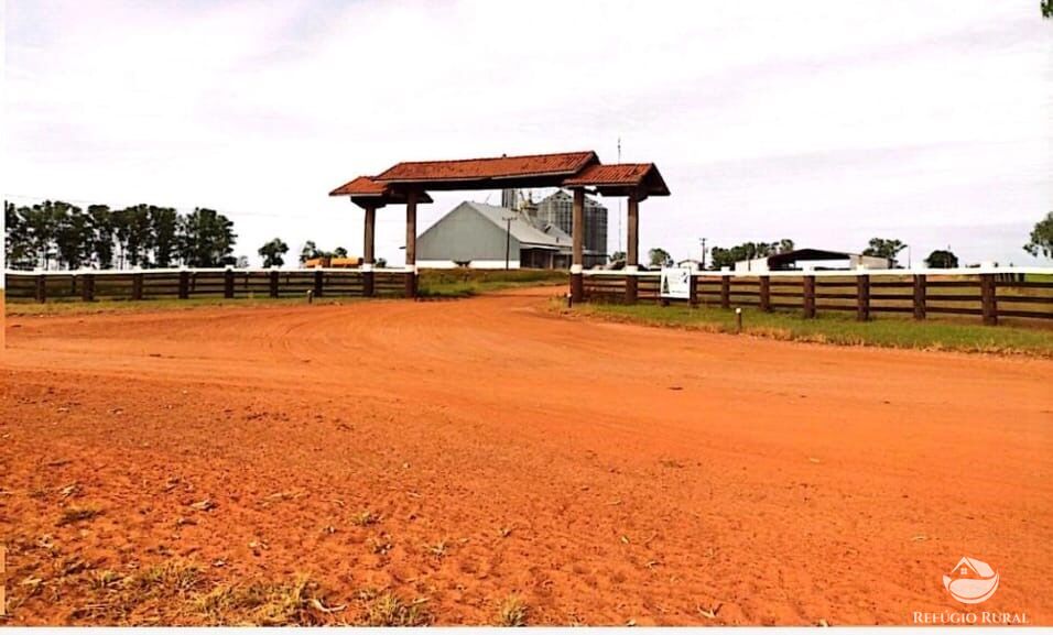 Fazenda à venda com 4 quartos, 100000000m² - Foto 12