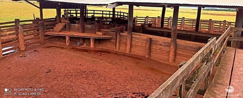 Fazenda à venda com 4 quartos, 100000000m² - Foto 6