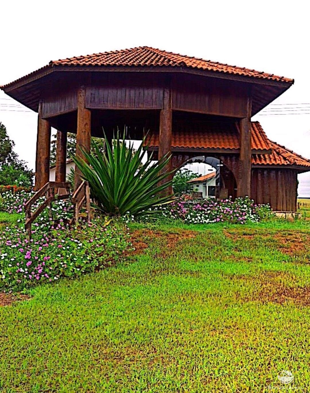 Fazenda à venda com 4 quartos, 100000000m² - Foto 20